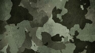 自衛隊から民間企業へ｜転職成功のポイントとおすすめ職種ガイド